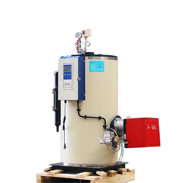 LSS Series 50kg Steam Generator Heating Stone Fish Natural Gas Fired Boiler